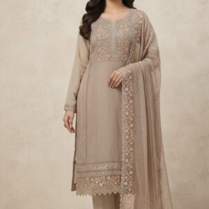 orgenza febric embroidery with hand work