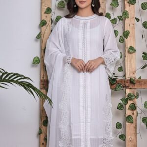 soft silk chanderi fabric cut work pakistani suit