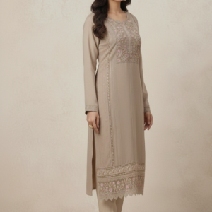 orgenza febric embroidery with hand work