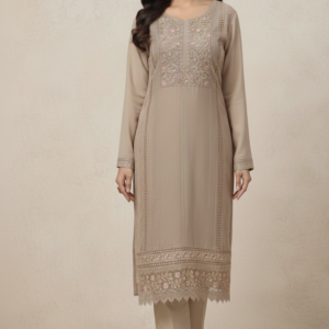 orgenza febric embroidery with hand work