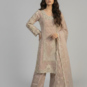 a beautiful chanderi fabric pakistani suit