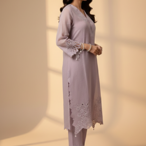 a beautiful pakistani cut work suit