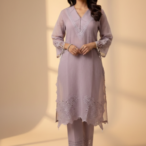a beautiful pakistani cut work suit